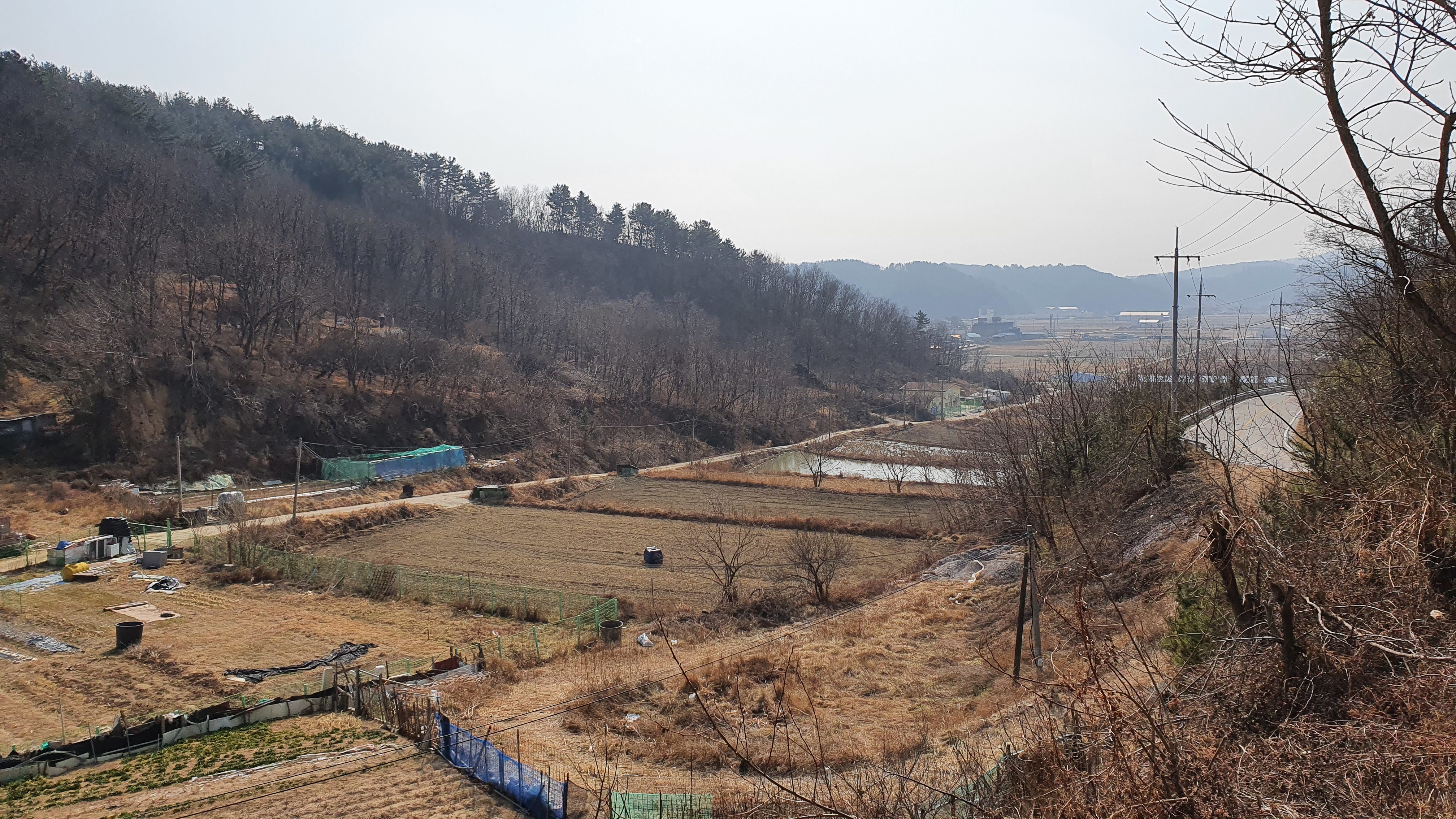 Korean farm land